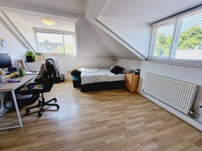 Picture 7
